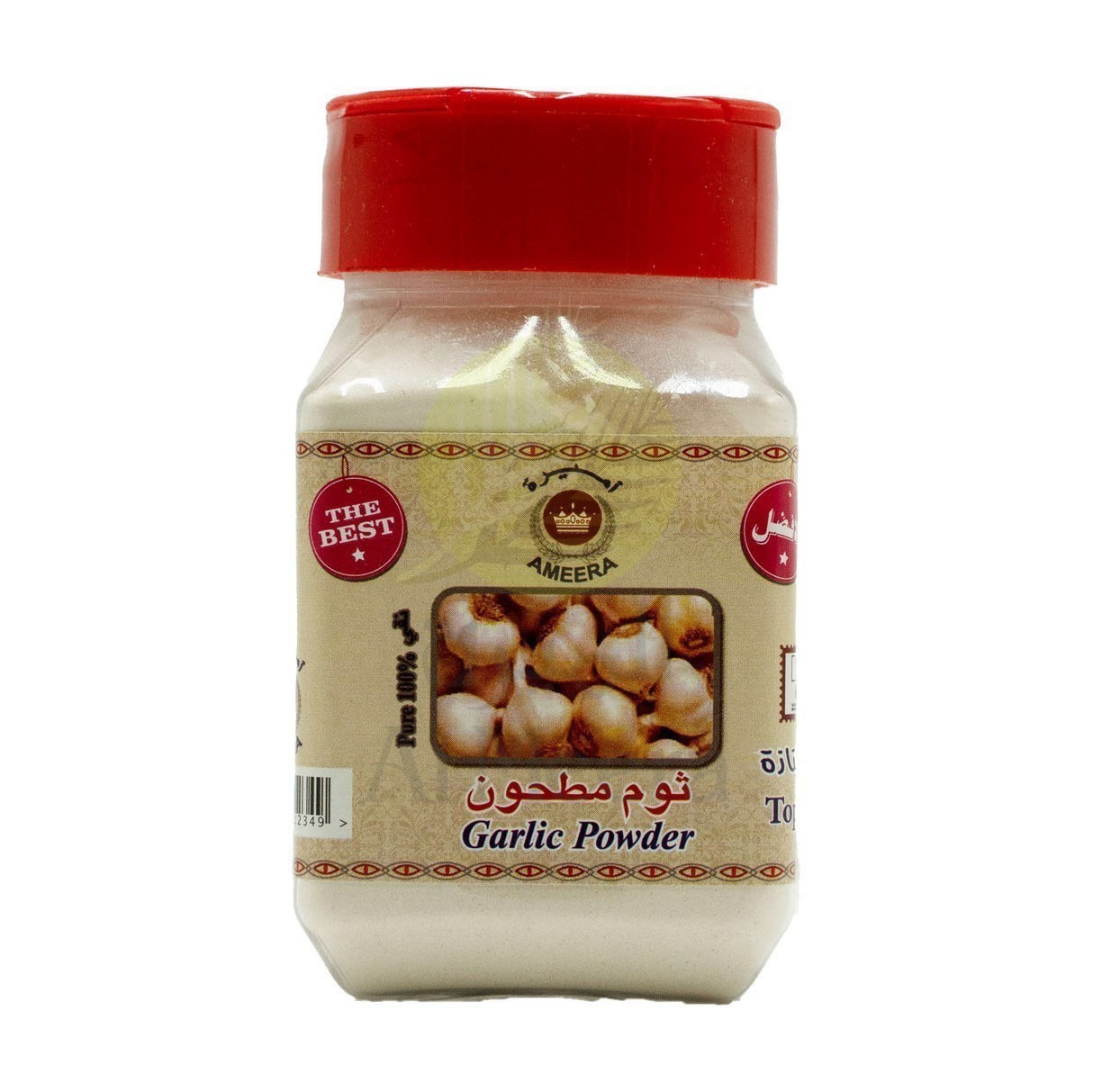 AMEERA GARLIC POWDER 100G 1 AMEERA GARLIC POWDER 100G