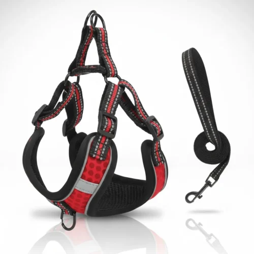 AZOSS Y STRAP HARNESS LARGE