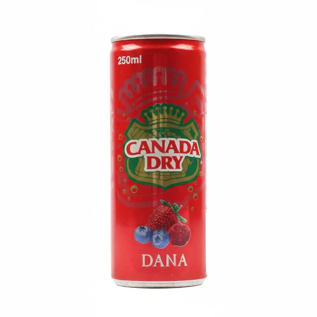 CANADA DRY DANA 250ML CANADA DRY DANA 250ML
