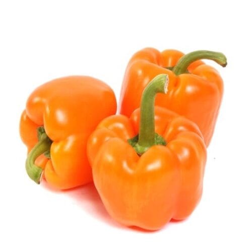CAPSICUM / BELL PEPPER - ORANGE 500G
