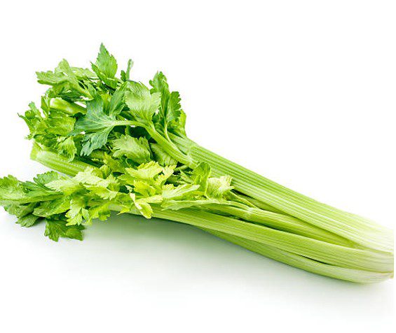 CELERY (HOLLAND) 500G 1 CELERY (HOLLAND) 500G