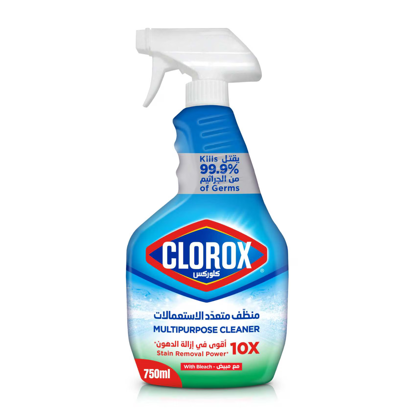 CLOROX MULTIPURPOSE CLEANER SPRAY 750ML