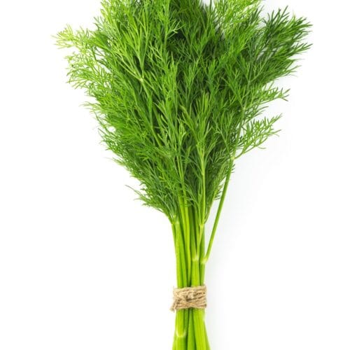 DILL