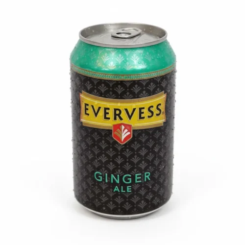 EVERVESS GINGER ALE 330ML