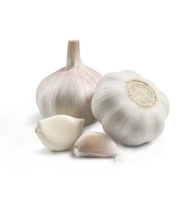 GARLIC 500G 1 GARLIC 500G