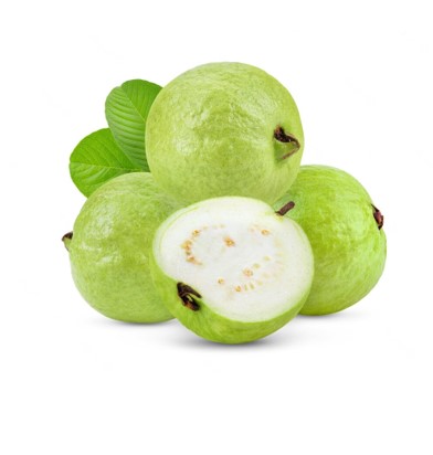 GUAVA - EGYPT