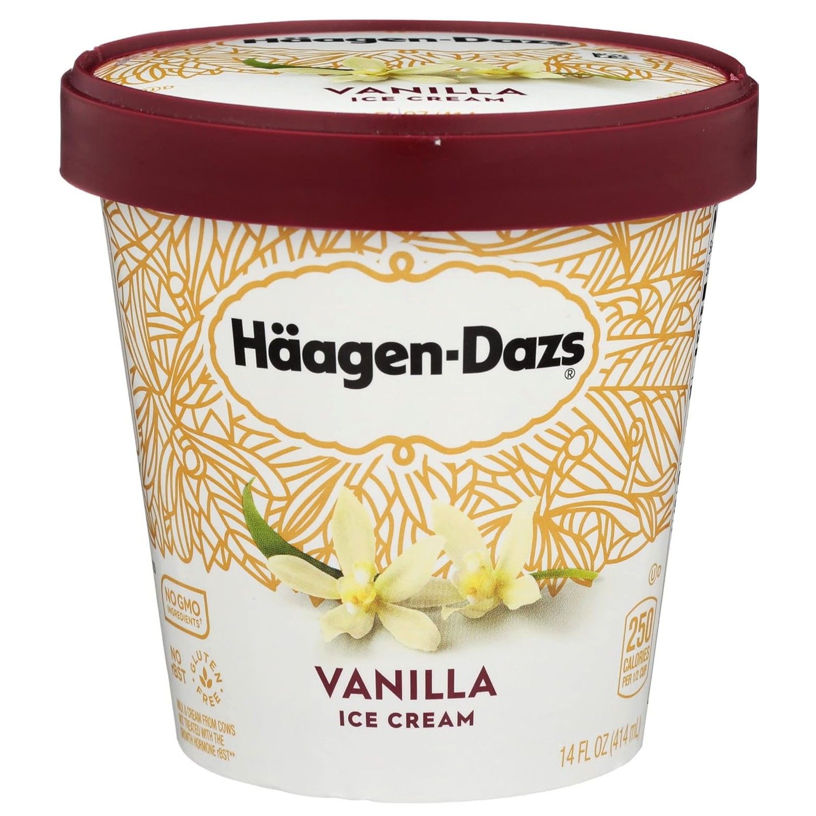 HAAGEN-DAZS VANILLA ICE CREAM 400G