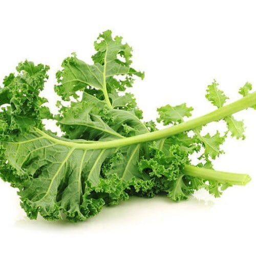 KALE LEAVES