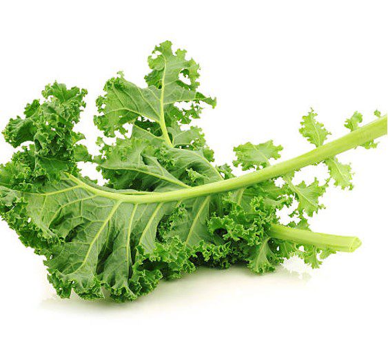 KALE LEAVES 1 KALE LEAVES