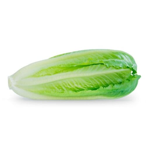 LETTUCE 500G