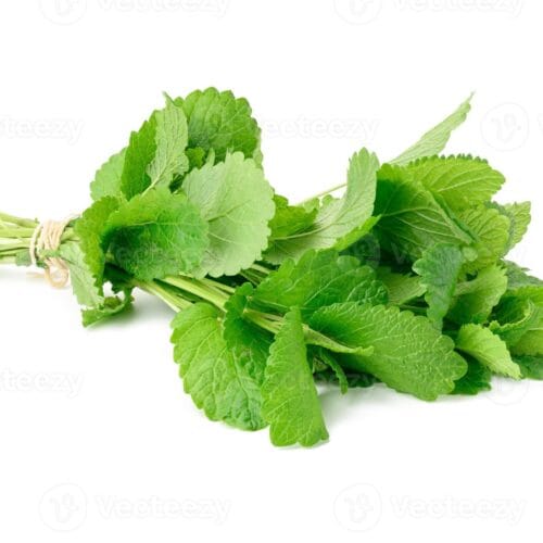 MINT LEAVES