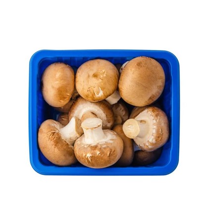 MUSHROOM - BROWN 1 MUSHROOM - BROWN