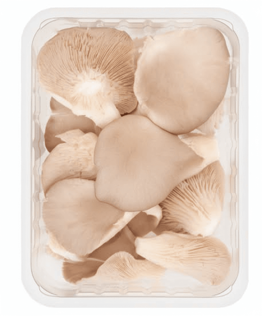 MUSHROOM - OYSTER MUSHROOM - OYSTER