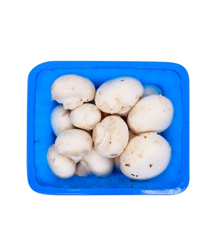 MUSHROOM - WHITE 1 MUSHROOM - WHITE