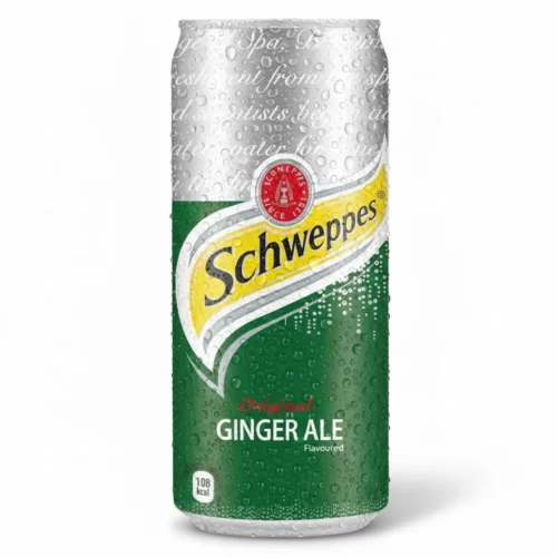 SCHWEPPES GINGER ALE 250ML