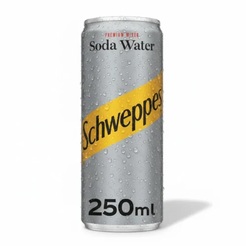 SCHWEPPES SODA WATER 250ML