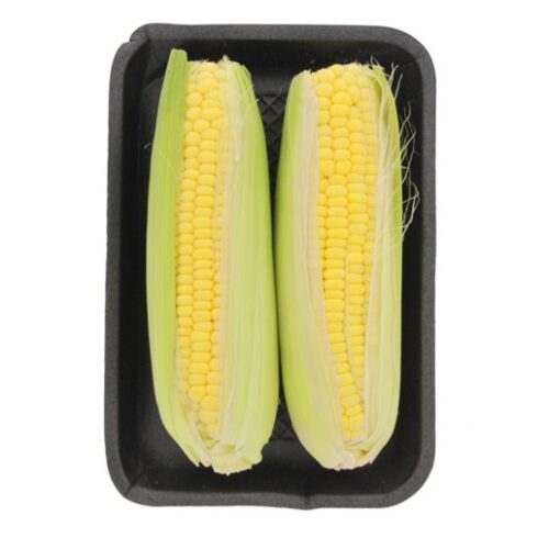 SWEET CORN FRESH
