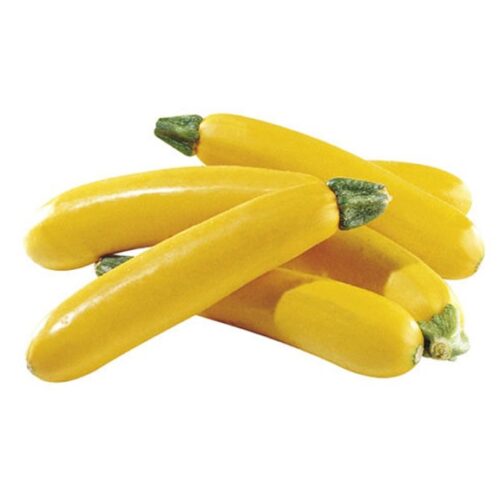 ZUCCHINI YELLOW (HOLLAND) 500G
