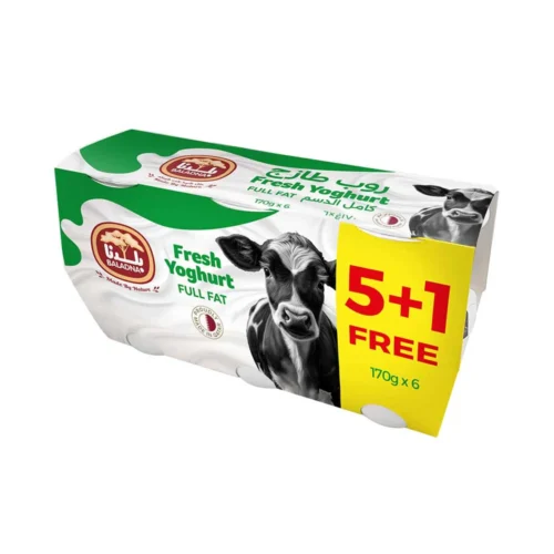 BALADNA FRESH YOGURT 170G FF X 6
