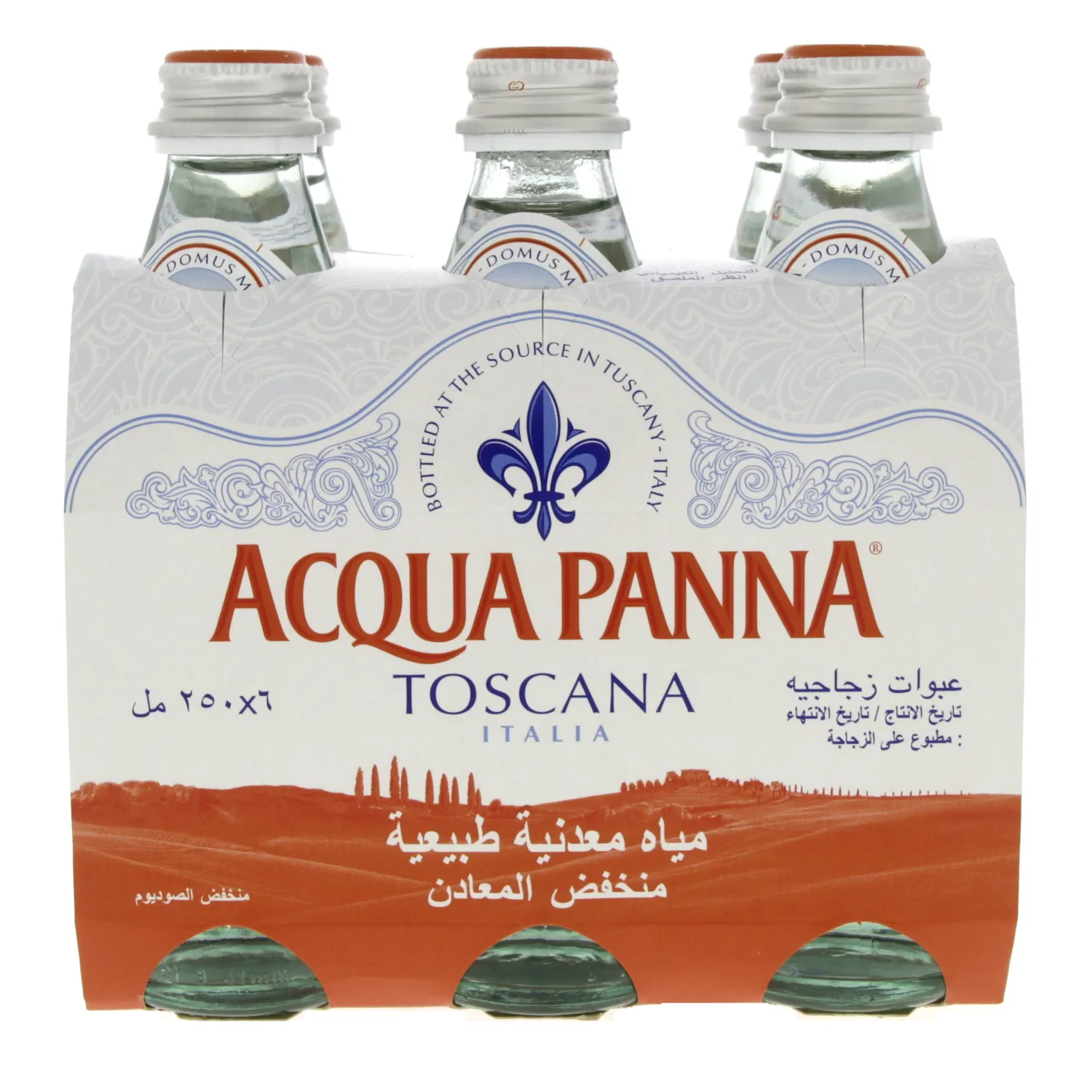 ACQUA PANNA MINERAL WATER 250ML X 6 ACQUA PANNA MINERAL WATER 250ML X 6